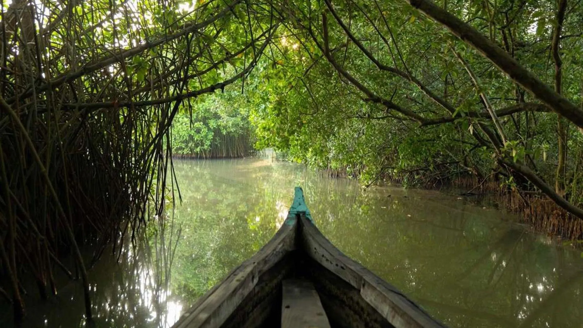 The Brook Serene Kottiyam 0*,